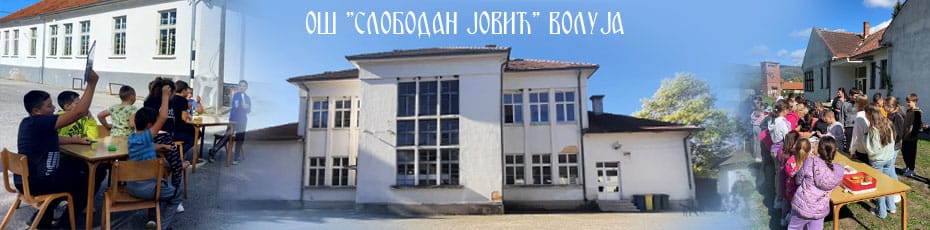 ОШ Слободан Јовић Волуја